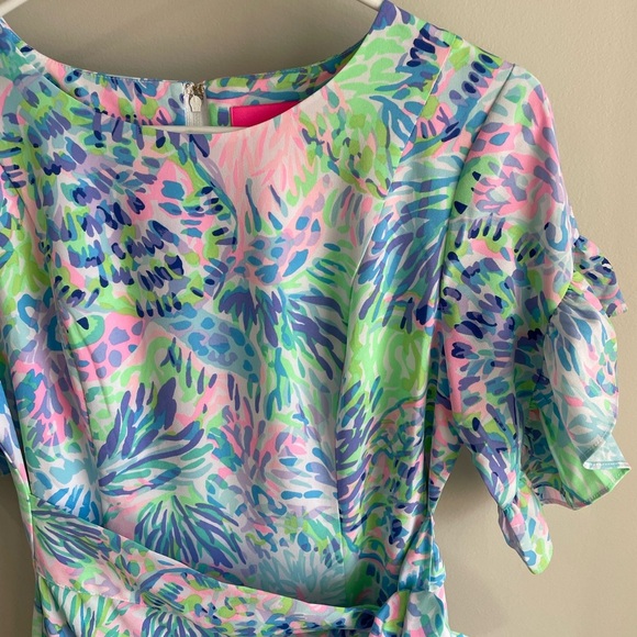 Lilly Pulitzer Darlah Stretch Dress - Blue/Green/Pink - Size 2 - Picture 5 of 13